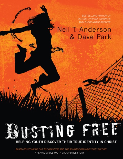 Cover image for book Busting Free