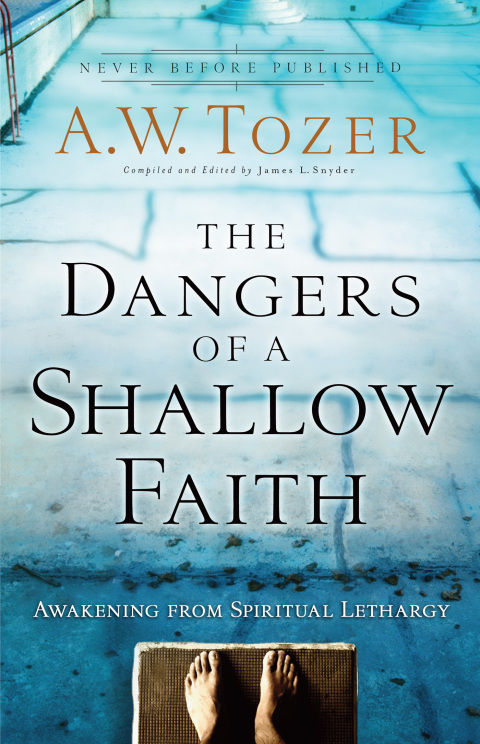 Cover image for book The Dangers of a Shallow Faith