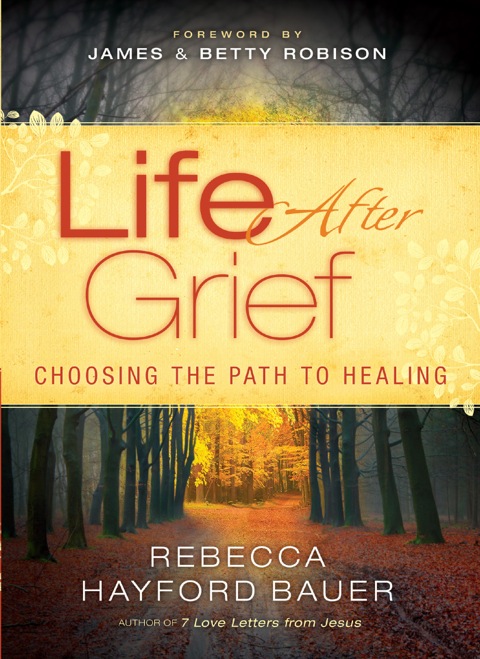 Cover image for book Life After Grief