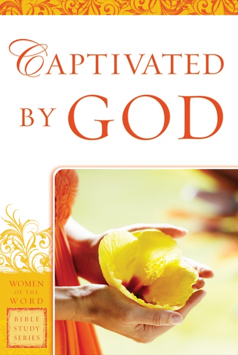 Cover image for book Captivated by God
