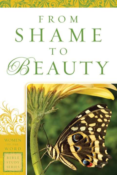 Cover image for book From Shame to Beauty