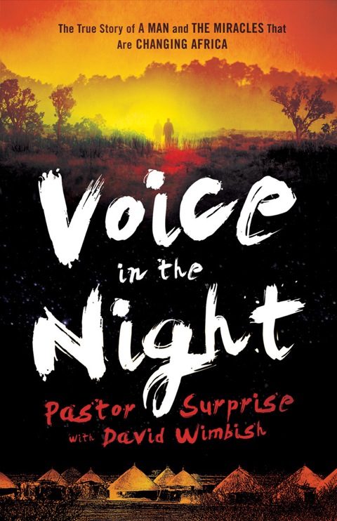 Cover image for book Voice in the Night