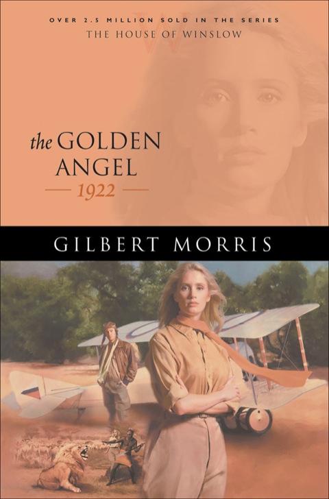 Cover image for book The Golden Angel