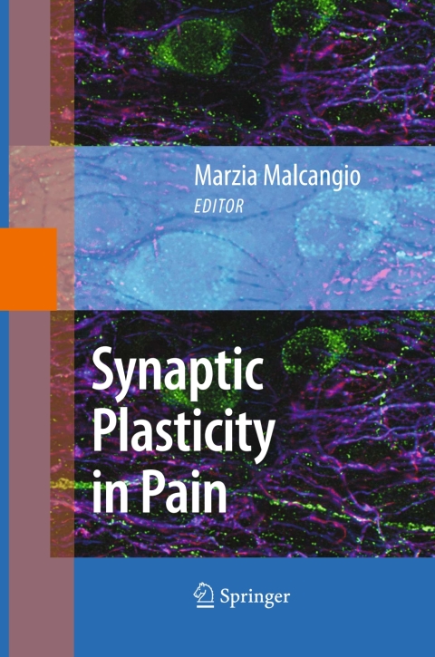 Cover image for book Synaptic Plasticity in Pain