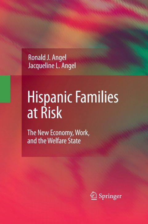 Cover image for book Hispanic Families at Risk