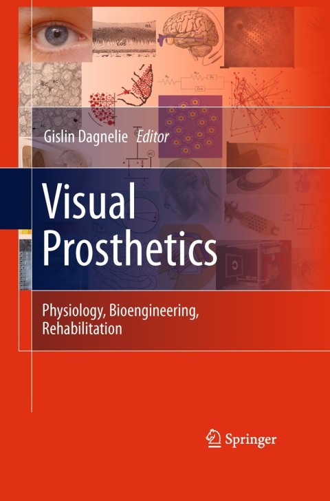 Cover image for book Visual Prosthetics