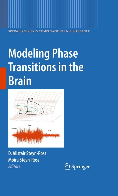 Cover image for book Modeling Phase Transitions in the Brain