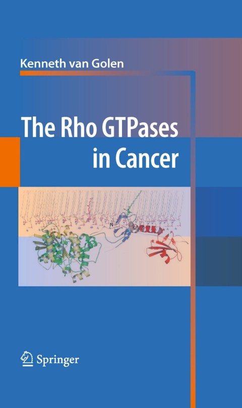 Cover image for book The Rho GTPases in Cancer