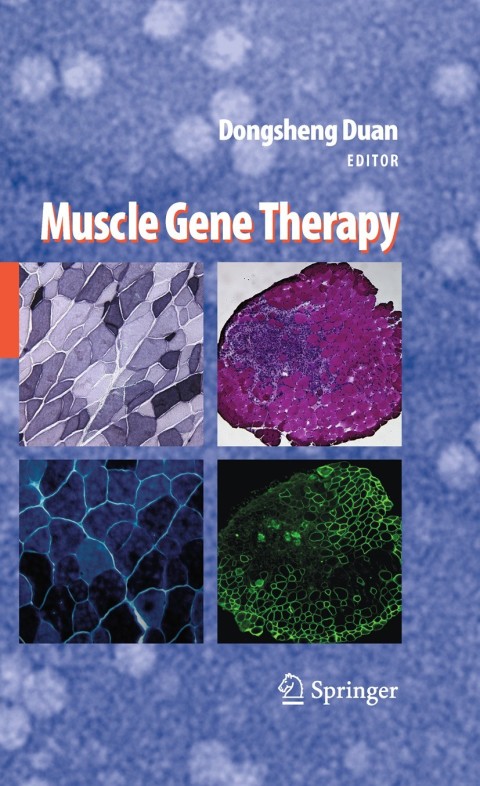 Cover image for book Muscle Gene Therapy