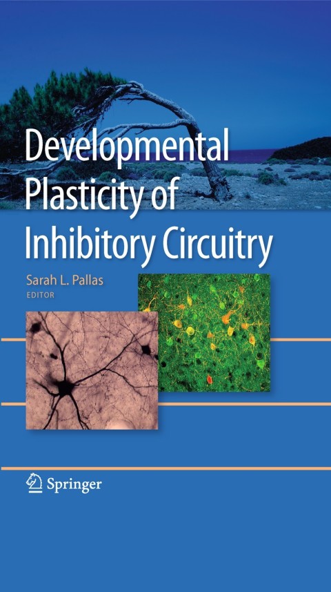 Cover image for book Developmental Plasticity of Inhibitory Circuitry