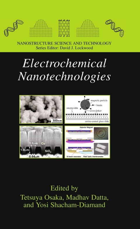 Cover image for book Electrochemical Nanotechnologies