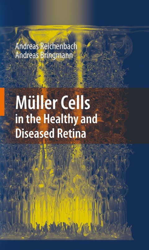 Cover image for book Müller Cells in the Healthy and Diseased Retina