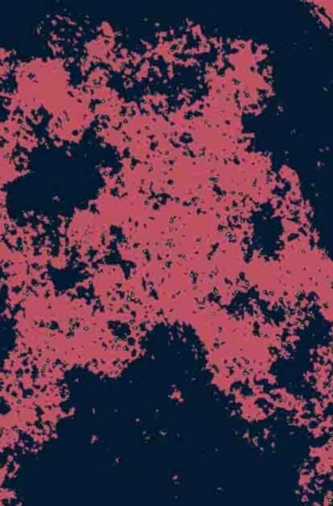 Cover image for book Biosurfactants