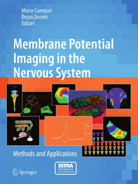 Cover image for book Membrane Potential Imaging in the Nervous System