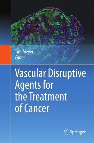 Vascular Disruptive Agents for the Treatment of Cancer