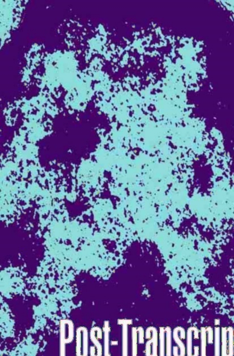 Cover image for book Post‑Transcriptional Regulation by STAR Proteins