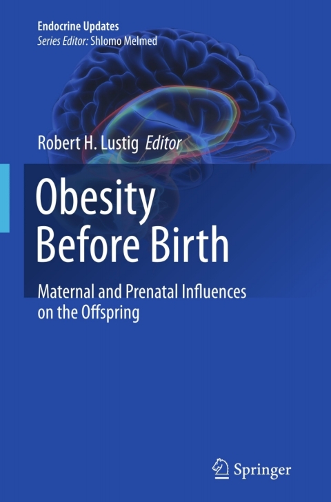 Cover image for book Obesity Before Birth