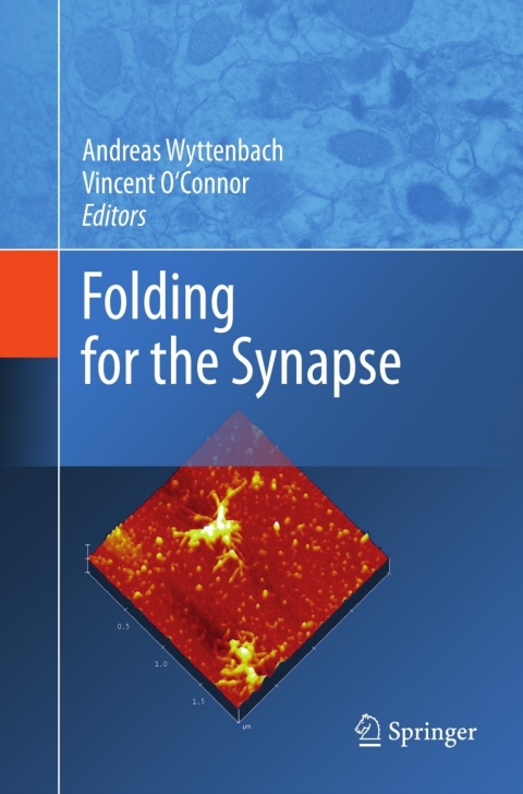 Cover image for book Folding for the Synapse