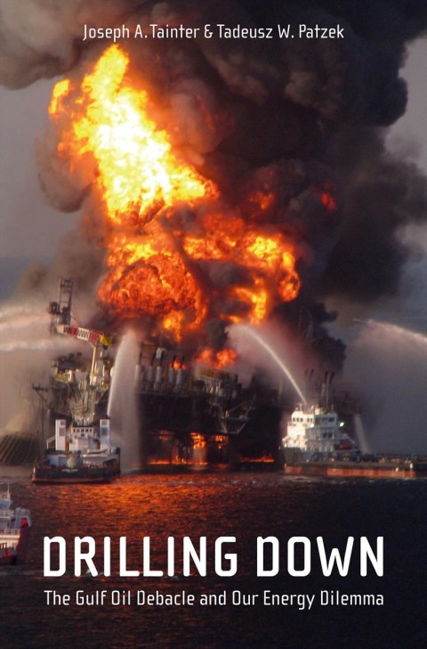 Cover image for book Drilling Down