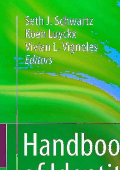 Cover image for book Handbook of Identity Theory and Research