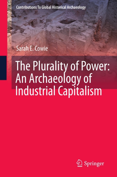 Cover image for book The Plurality of Power