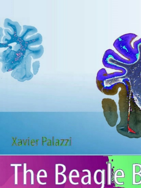Cover image for book The Beagle Brain in Stereotaxic Coordinates