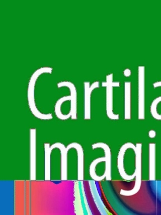 Cartilage Imaging