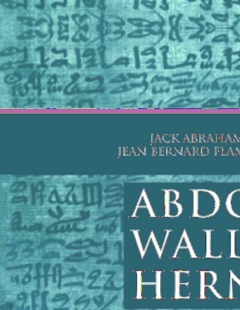 Cover image for book Abdominal Wall Hernias
