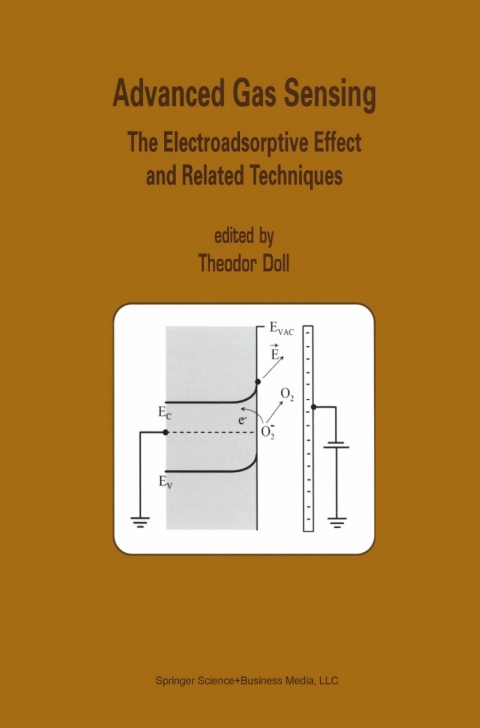 Cover image for book Advanced Gas Sensing