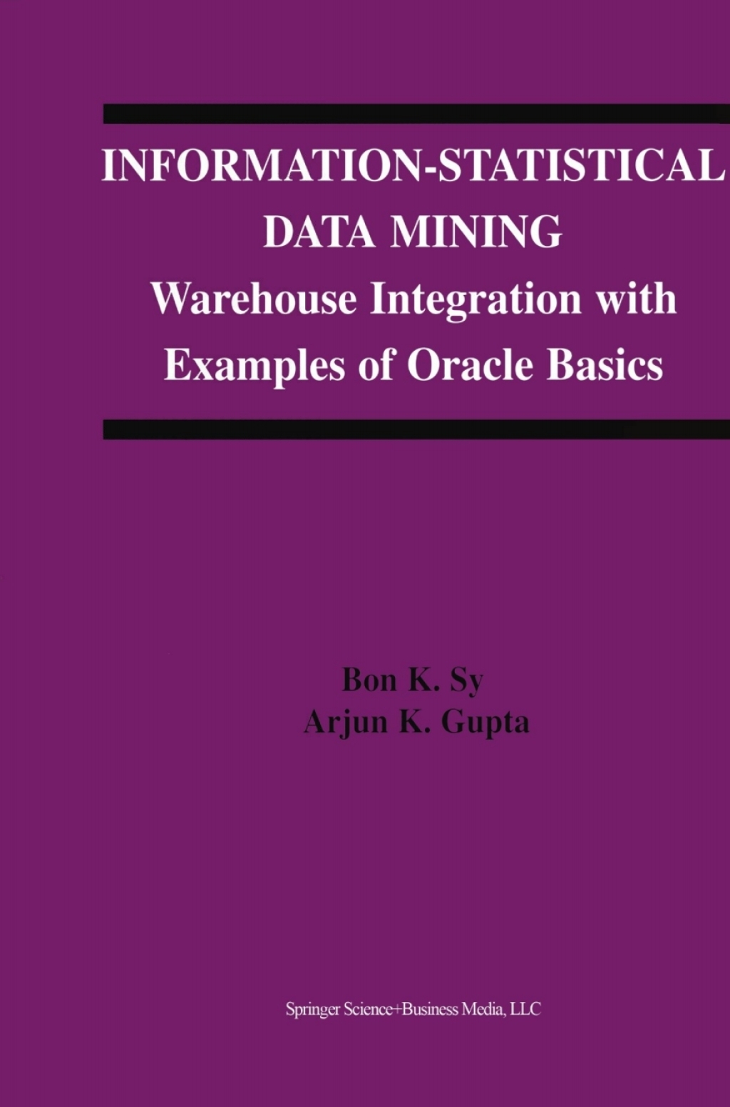 Information-Statistical Data Mining (eBook)