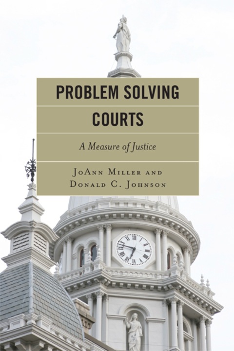 Cover image for book Problem Solving Courts