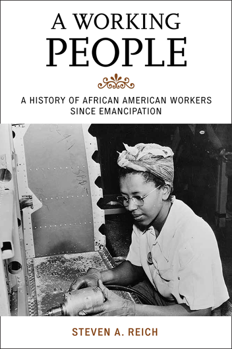 Cover image for book A Working People