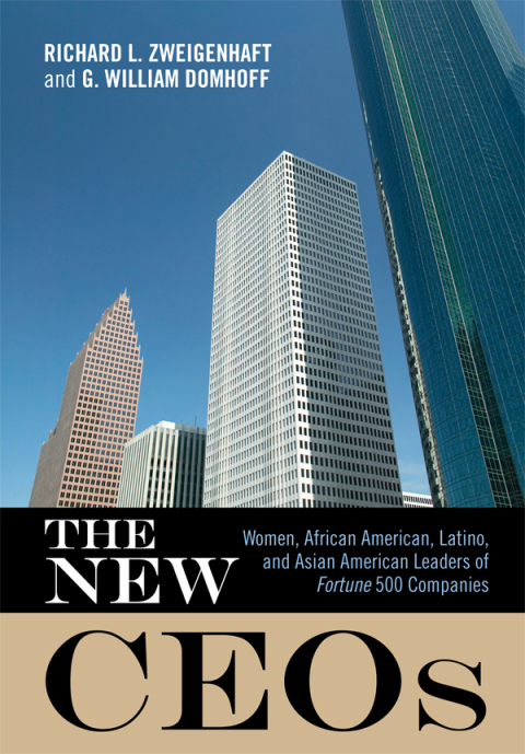 Cover image for book The New CEOs