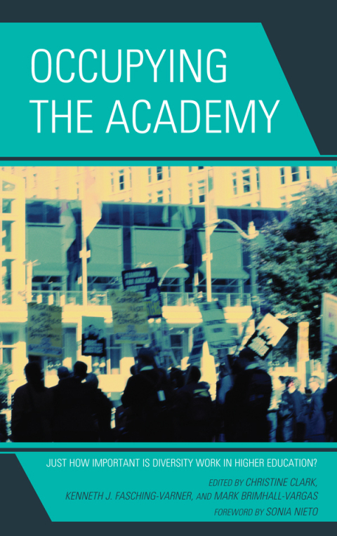 Cover image for book Occupying the Academy
