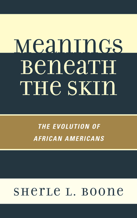 Cover image for book Meanings Beneath the Skin