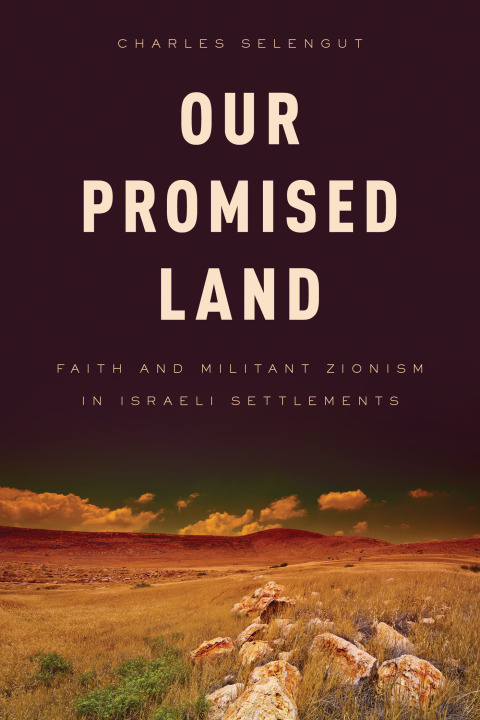 Cover image for book Our Promised Land