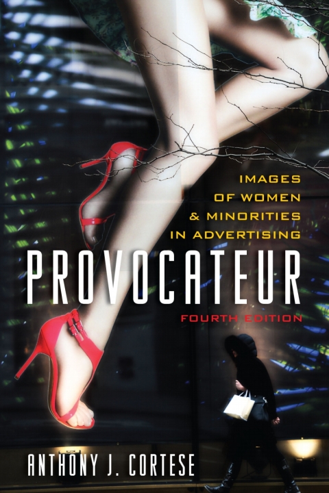 Cover image for book Provocateur