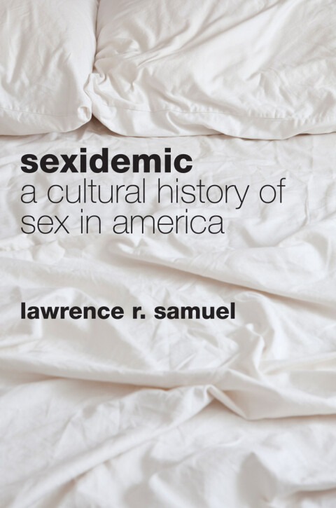 Cover image for book Sexidemic