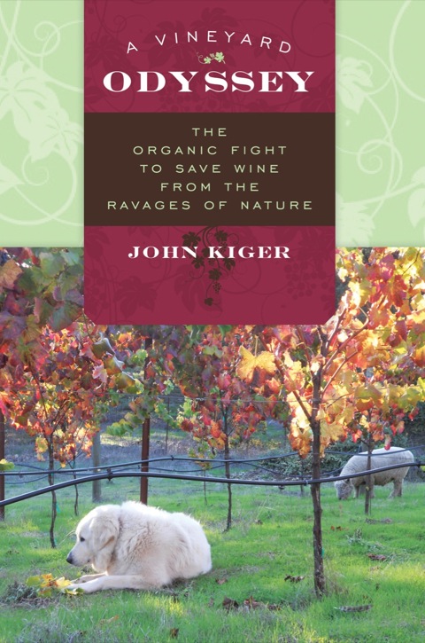 Cover image for book A Vineyard Odyssey