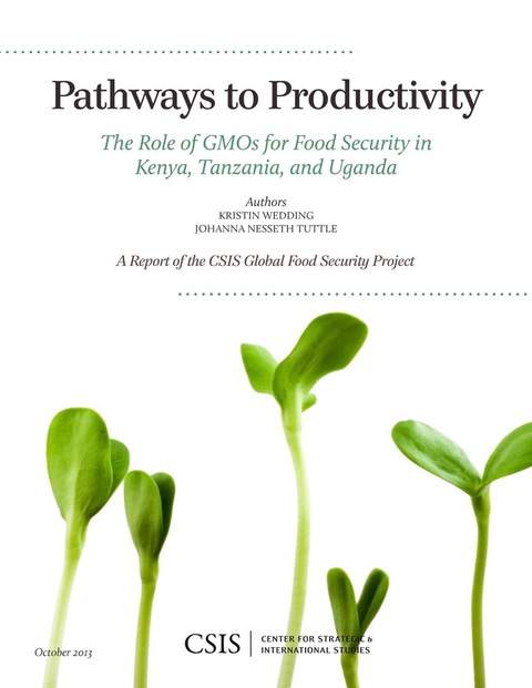 Cover image for book Pathways to Productivity