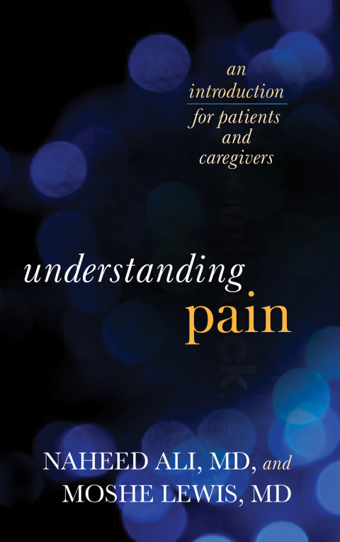Cover image for book Understanding Pain