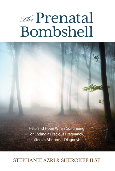 Cover image for book The Prenatal Bombshell