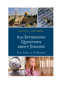 Titelbild: 850 Intriguing Questions about Judaism 9781442239463