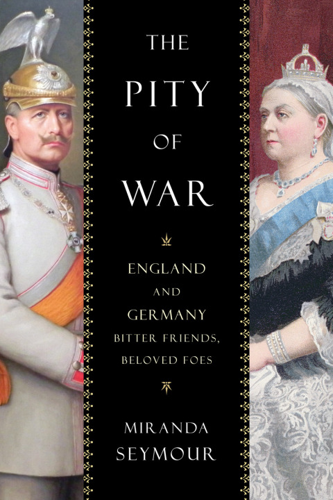 Cover image for book The Pity of War
