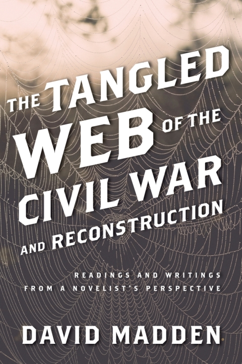 Cover image for book The Tangled Web of the Civil War and Reconstruction