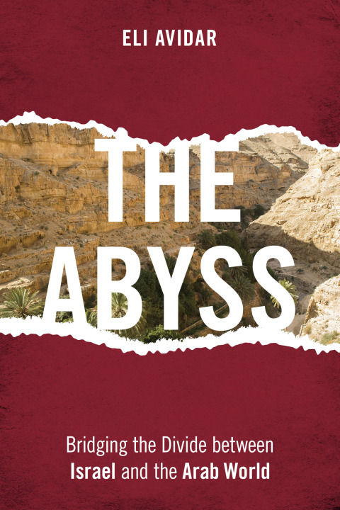 Cover image for book The Abyss