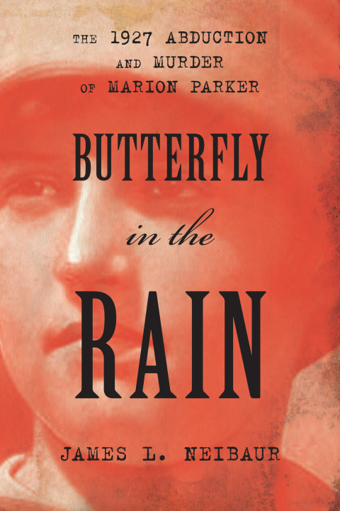 Cover image for book Butterfly in the Rain
