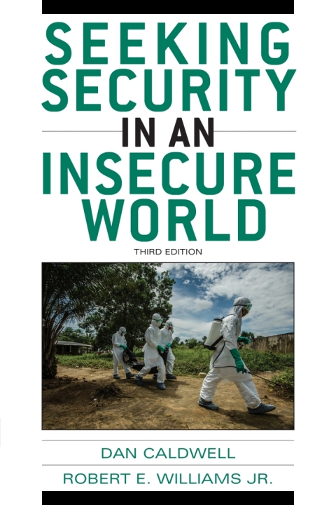 Cover image for book Seeking Security in an Insecure World