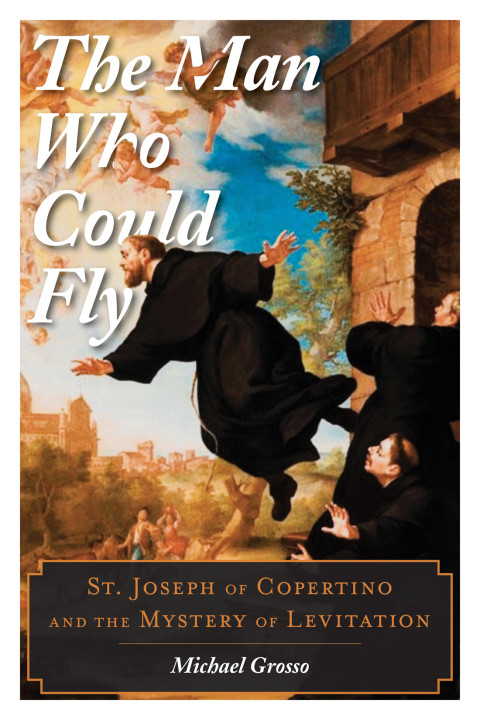 Cover image for book The Man Who Could Fly