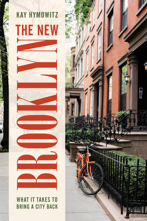 Cover image for book The New Brooklyn